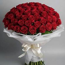 Букет 101 Красная роза Блэк Мэджик в Дубнево