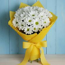 Букет цветов из:  Хризантемы в Дубнево
