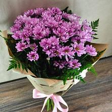 Букет цветов из:  Хризантемы #REPLACE_PRED# Дубнево