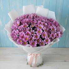 Букет цветов из:  Хризантемы в Дубнево