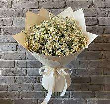 Букет цветов из:  Ромашки в Дубнево