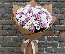 Букет цветов из:  Хризантемы в Дубнево