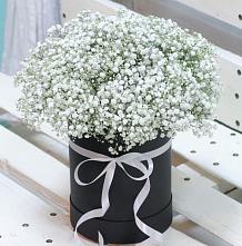 Цветочная композиция из Гипсофила в шляпной коробке #REPLACE_PRED# Дубнево