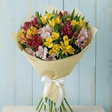 Букет цветов из:  Альстромерии в Дубнево