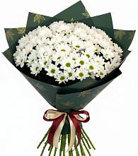 Букет цветов из:  Хризантемы в Дубнево