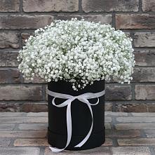 Цветочная композиция из Гипсофила в шляпной коробке #REPLACE_PRED# Дубнево