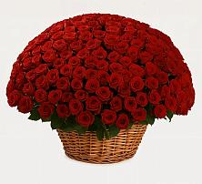 Премиум букет из: Розы в Дубнево