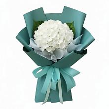 Букет цветов из:  Гортензия в Дубнево